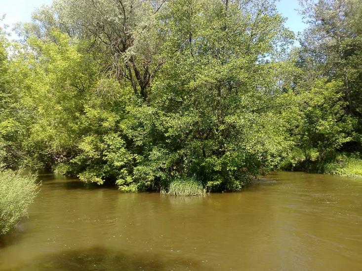 Колесниківка з panoramio.com - Колесниковка