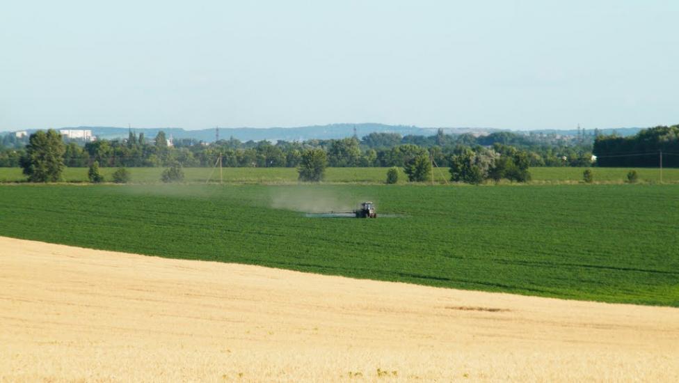 Вільна Терешківка з panoramio.com - Вільна Терешківка