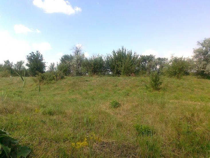 Кутузівка з panoramio.com - Кутузівка