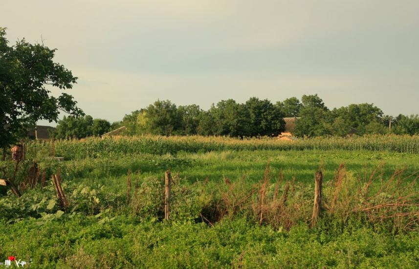 Раухівка з panoramio.com - Раухівка