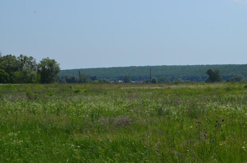 Дергачі з panoramio.com - Дергачі