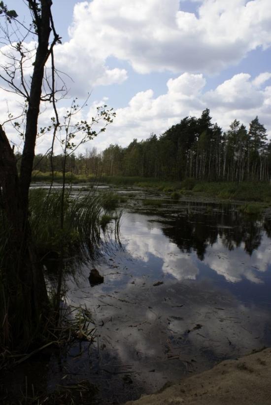Кошари з panoramio.com - Кошари