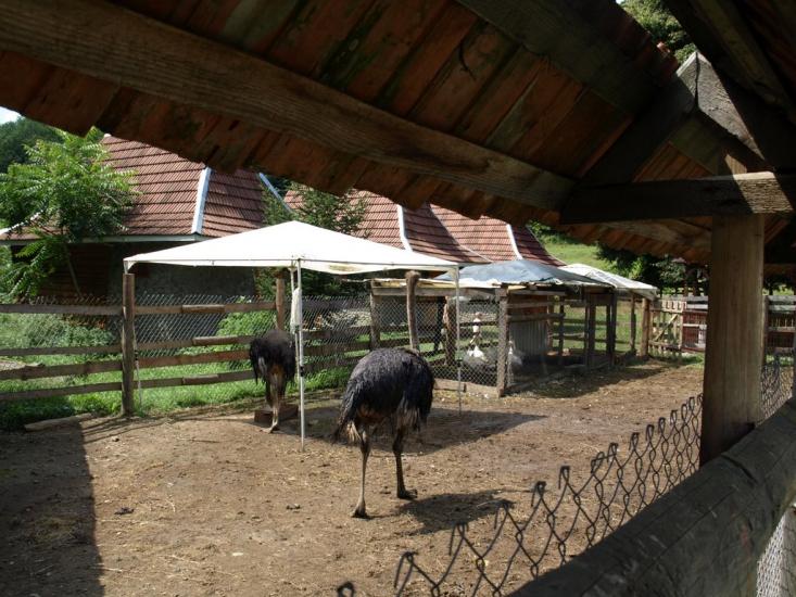 Поляна з panoramio.com - Поляна