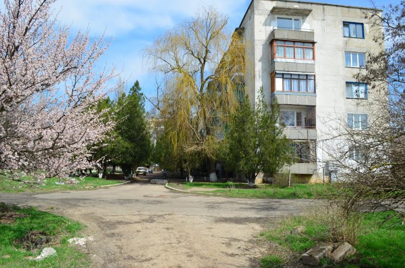 Амурське з panoramio.com - Амурское