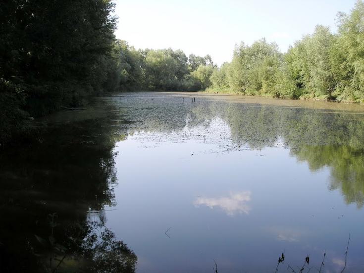 Ягідне з panoramio.com - Ягідне