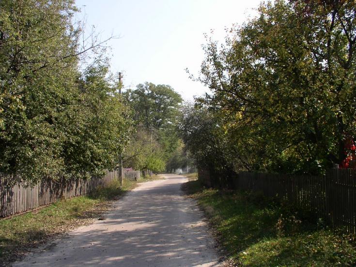 Гончарівське з panoramio.com - Goncharivske