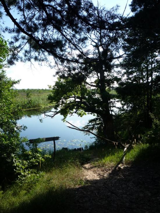 Бучин з panoramio.com - Бучин