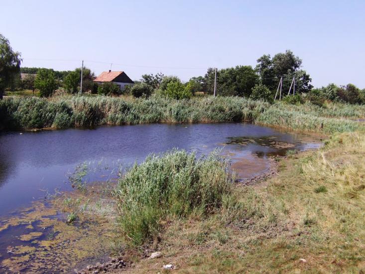 Соснівка з panoramio.com - Соснівка