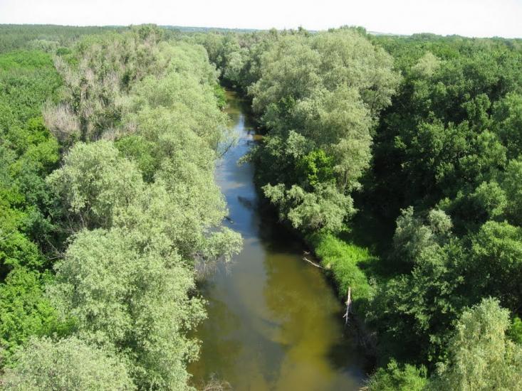 Колесниківка з panoramio.com - Колесниківка