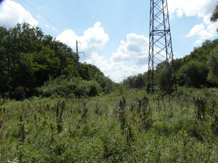 Есхар з panoramio.com - Эсхар
