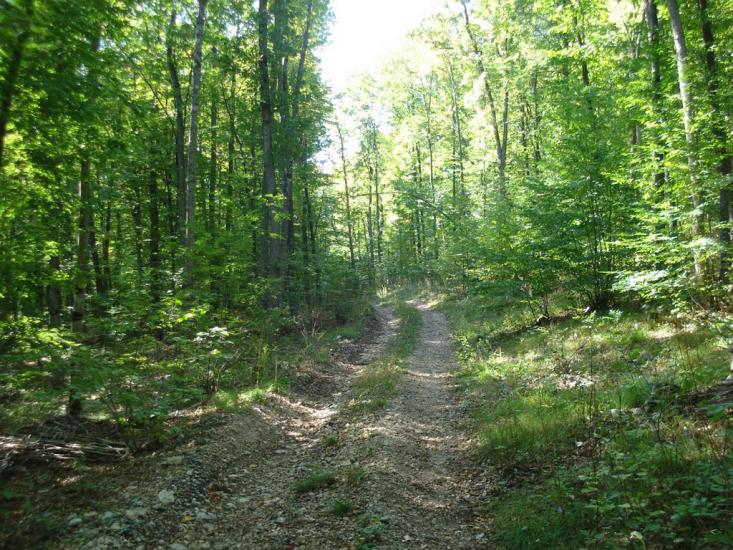 Овражки з panoramio.com - Овражки