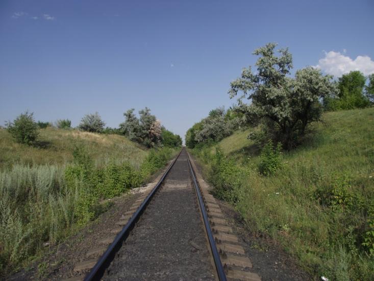 Димитров з panoramio.com - Димитров