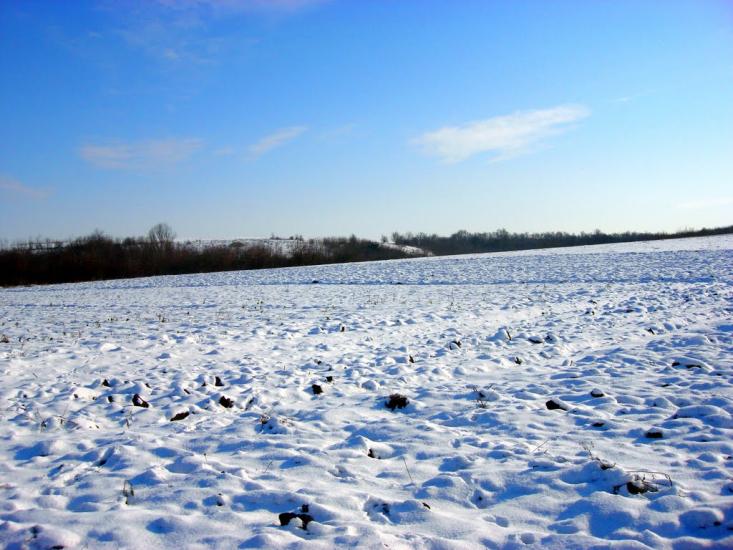 Устя з panoramio.com - Устя