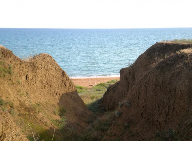 Яковенкове з panoramio.com - Яковенкове