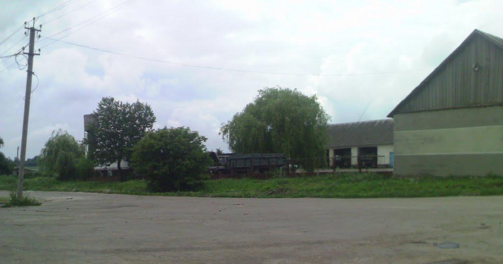 Темногайці з panoramio.com - Темногайці