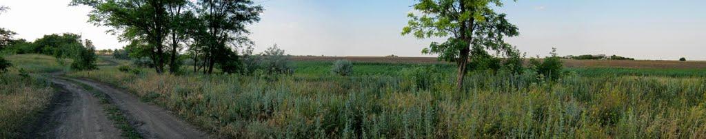 Лісопитомник з panoramio.com - Лісопитомник