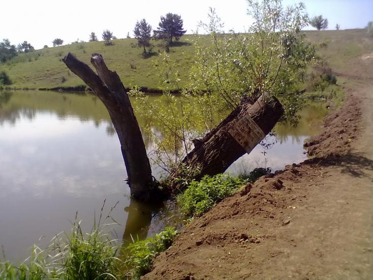 Сокиряни з panoramio.com - Сокиряни