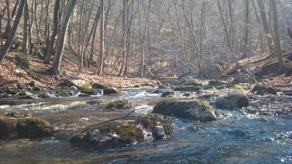 Овражки з panoramio.com - Овражки