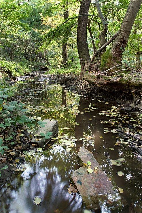 Нижньодеревечка з panoramio.com - Нижньодеревечка