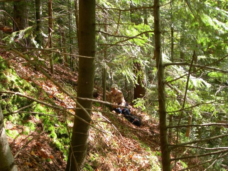 Яблунів з panoramio.com - Яблунів