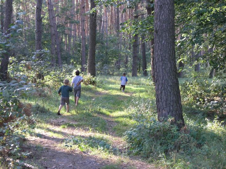 Руська Поляна з panoramio.com - Русская Поляна