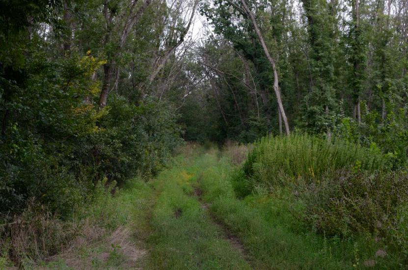 Гурівка з panoramio.com - Гуровка