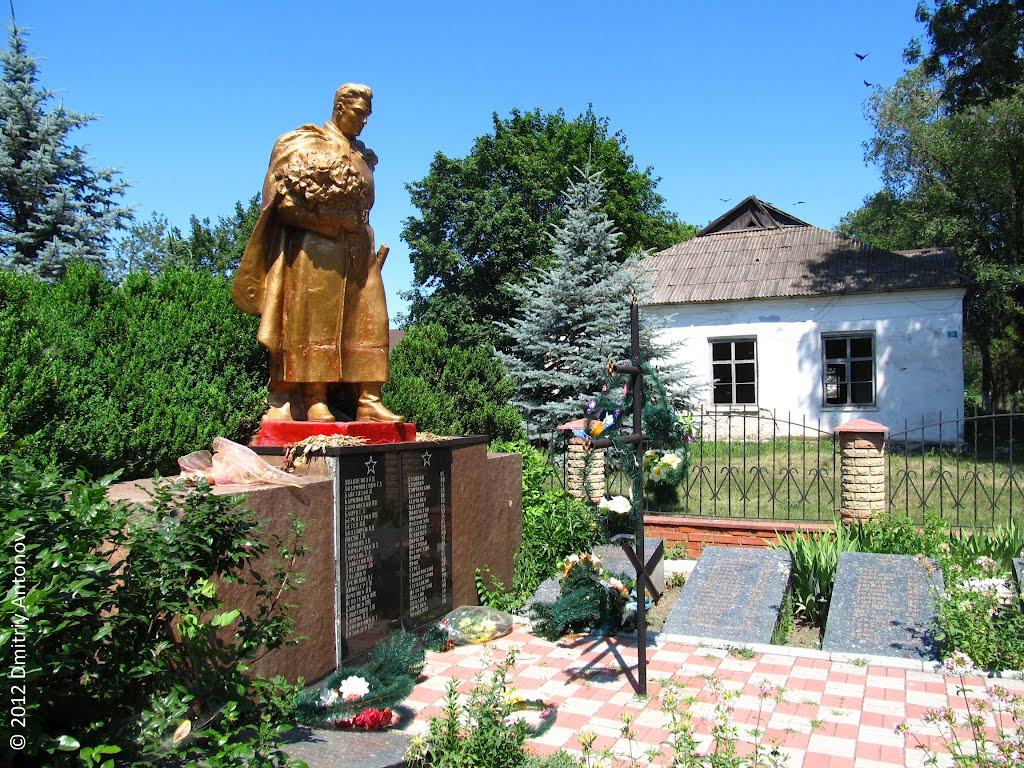 Рози Люксембург з panoramio.com - Гречани Поды