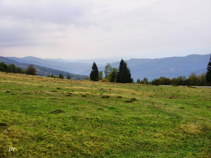 Косівська Поляна з panoramio.com - Косівська Поляна