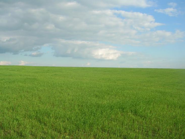 Северинівка з panoramio.com - Северинівка