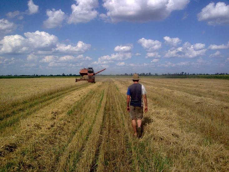 Першотравенка з panoramio.com - Первотравенка