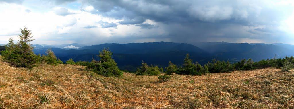 Осмолода з panoramio.com (ч.2) - Осмолода