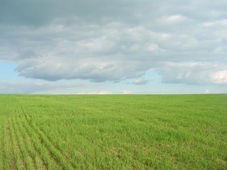 Северинівка з panoramio.com - Severynivka