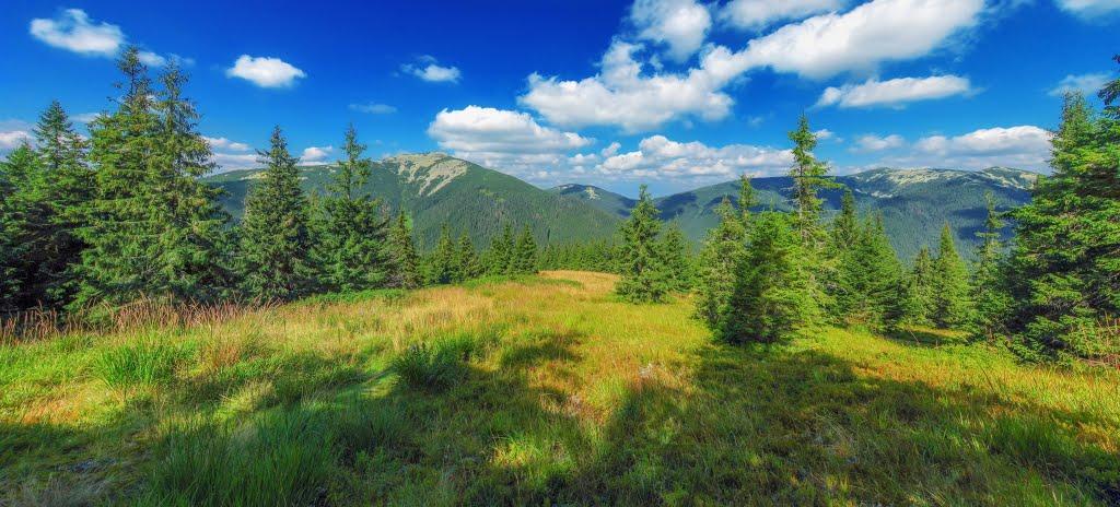 Осмолода з panoramio.com (ч.2) - Осмолода