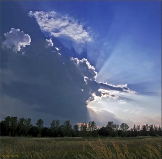 Мала Ганнівка з panoramio.com - Мала Ганнівка