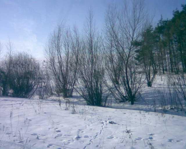 Лісна Поляна з panoramio.com - Лісна Поляна