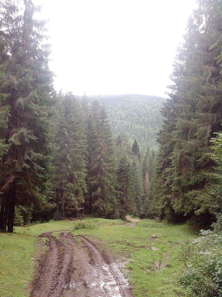 Татарів з panoramio.com - Татаров