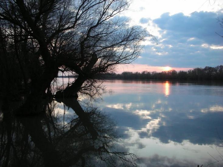Кислиця з panoramio.com - Кислиця