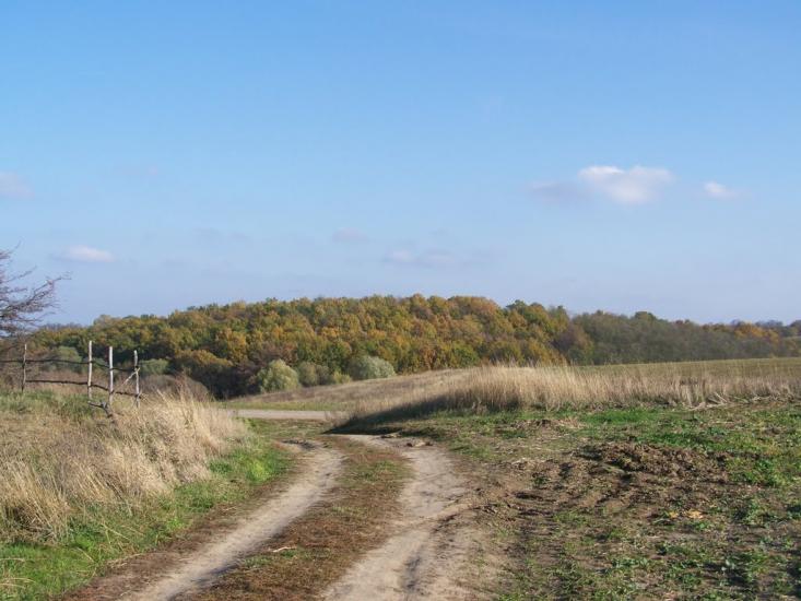 Синява з panoramio.com - Синява