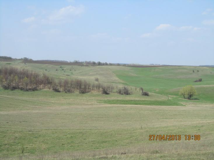 Cусіднє село Миронівка з panoramio.com - Маслии