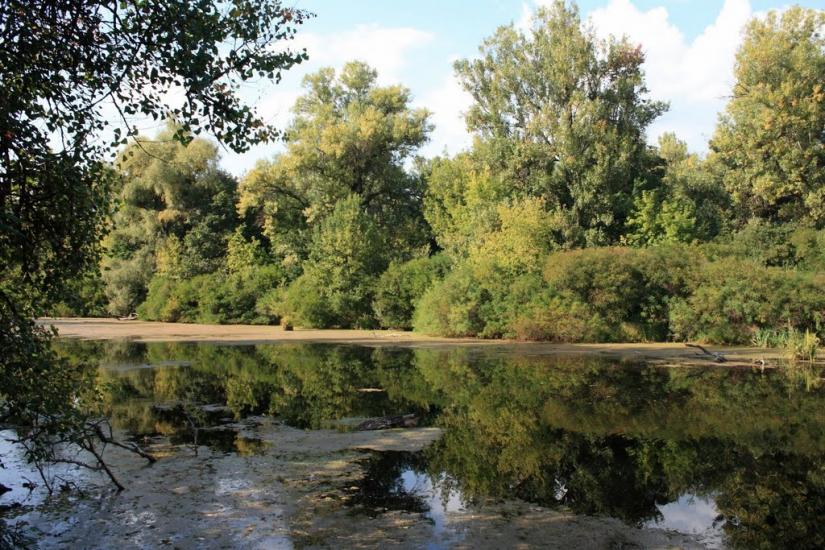Лісники з panoramio.com - Лесники