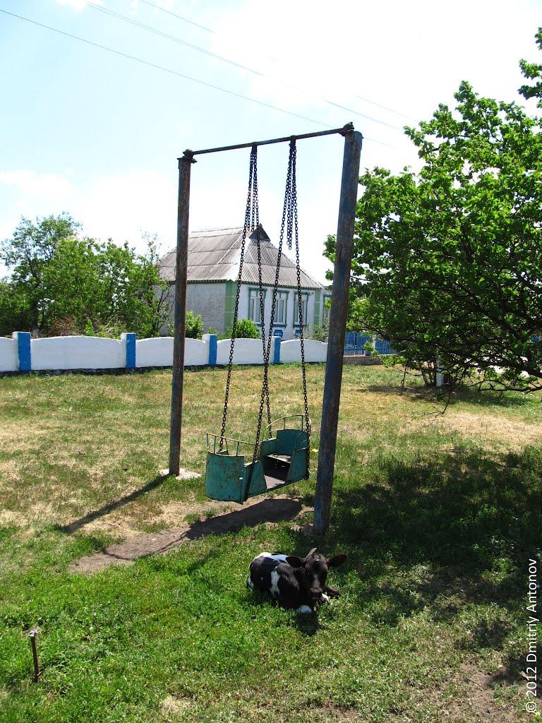 Рози Люксембург з panoramio.com - Гречани Поды