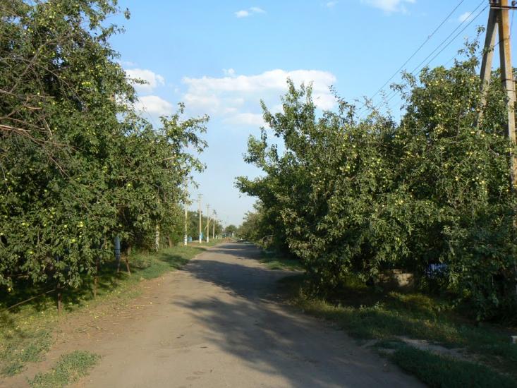 Пролетарське з panoramio.com - Пролетарське