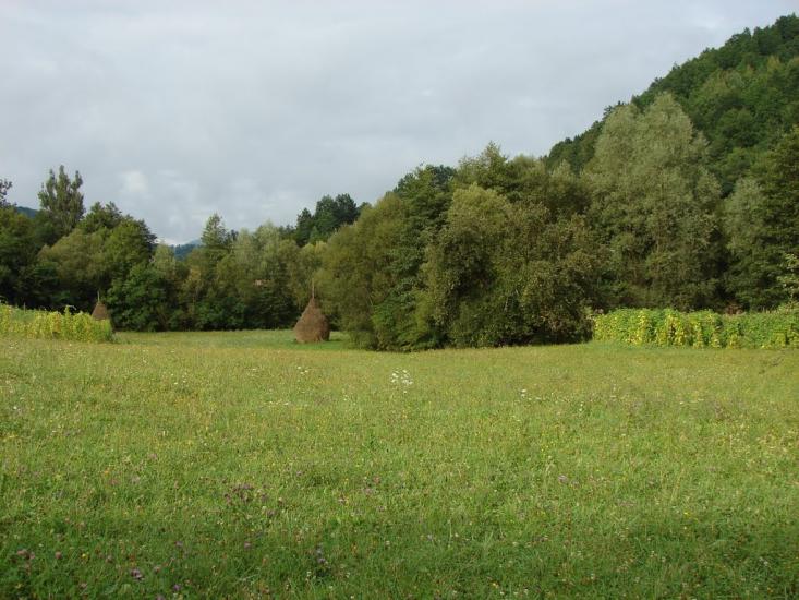 Хмелів з panoramio.com - Khmeliv