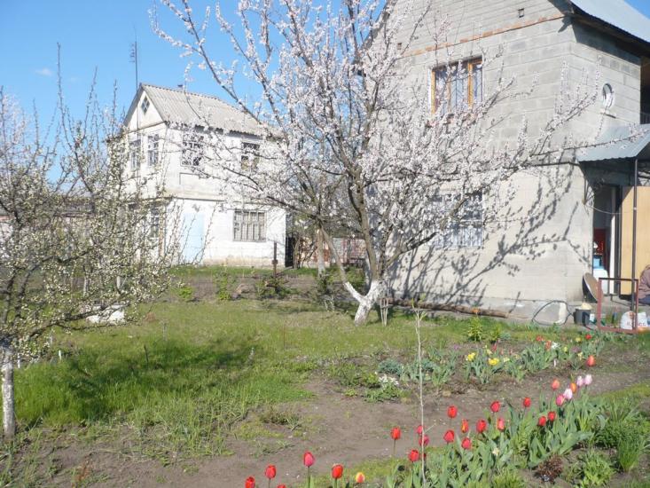 Лиман з panoramio.com - Лиман