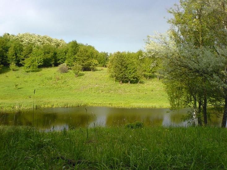 Фастівець з panoramio.com - Фастівець