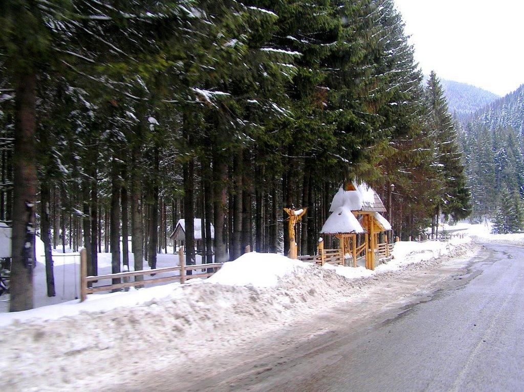 Вороненко з panoramio.com - Voronenko