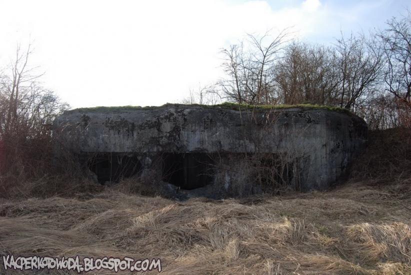 Зелена Гута з panoramio.com - Зеленая Гута
