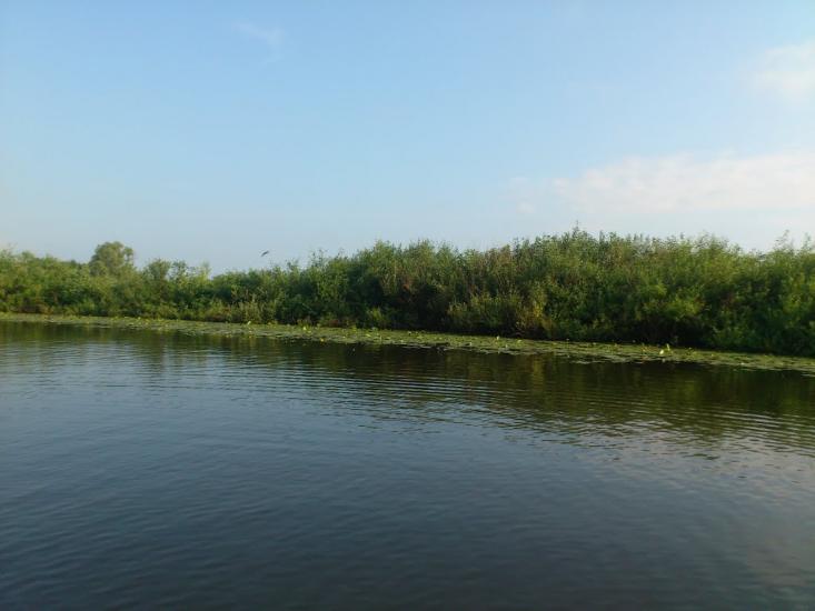 Любеч з panoramio.com - Любеч