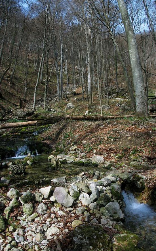 Овражки з panoramio.com - Овражки