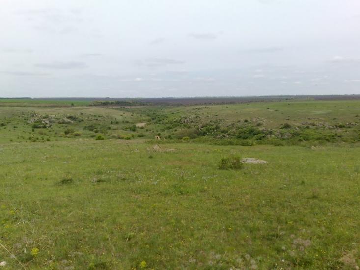 Олексіївка з panoramio.com - Oleksiyivka